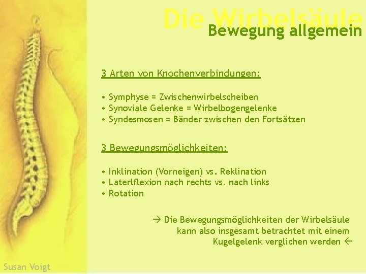 Die Bewegung Wirbelsäule allgemein 3 Arten von Knochenverbindungen: • Symphyse = Zwischenwirbelscheiben • Synoviale