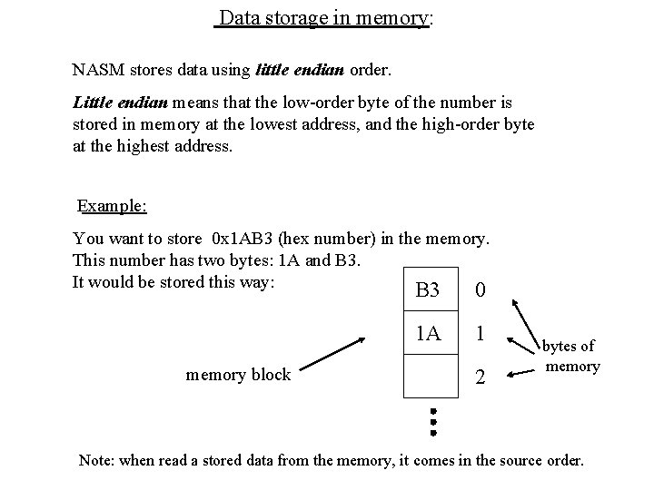 Data storage in memory: NASM stores data using little endian order. Little endian means