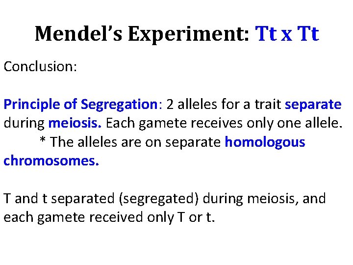 Mendel’s Experiment: Tt x Tt Conclusion: Principle of Segregation: 2 alleles for a trait