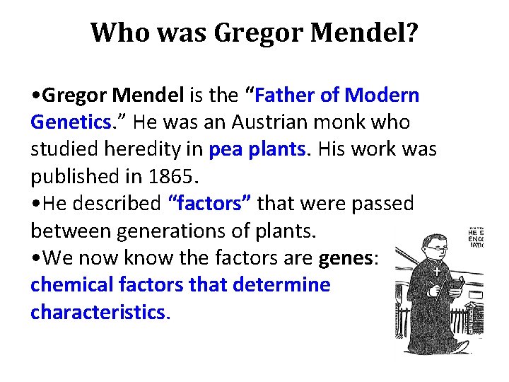 Who was Gregor Mendel? • Gregor Mendel is the “Father of Modern Genetics. ”