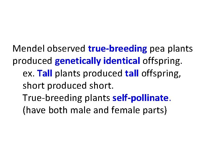 Mendel observed true-breeding pea plants produced genetically identical offspring. ex. Tall plants produced tall