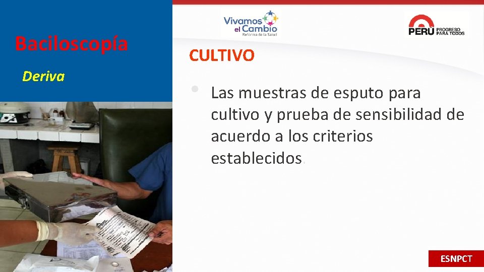 Baciloscopía Deriva CULTIVO • Las muestras de esputo para cultivo y prueba de sensibilidad