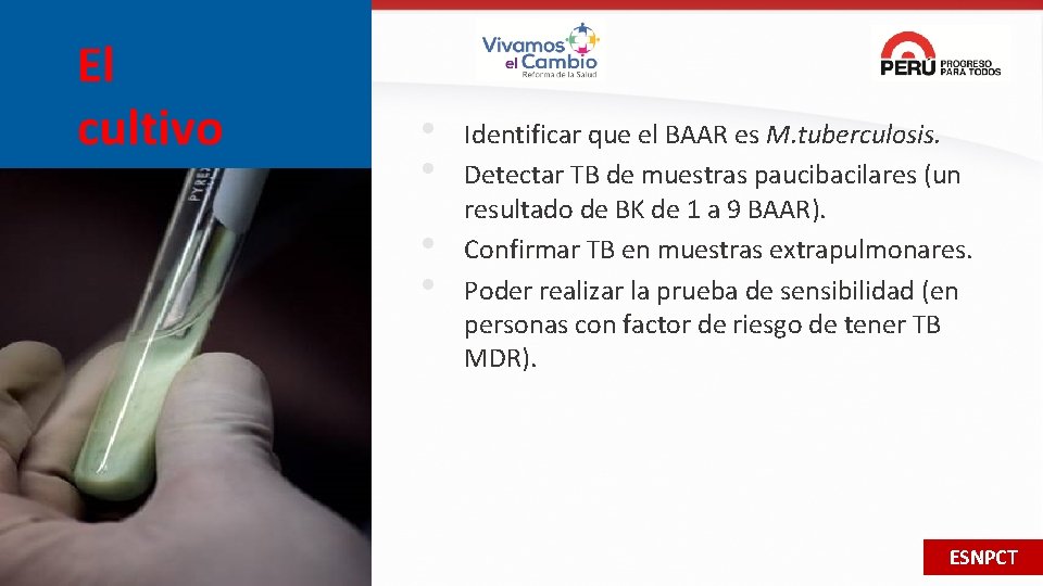 El cultivo • • Identificar que el BAAR es M. tuberculosis. Detectar TB de