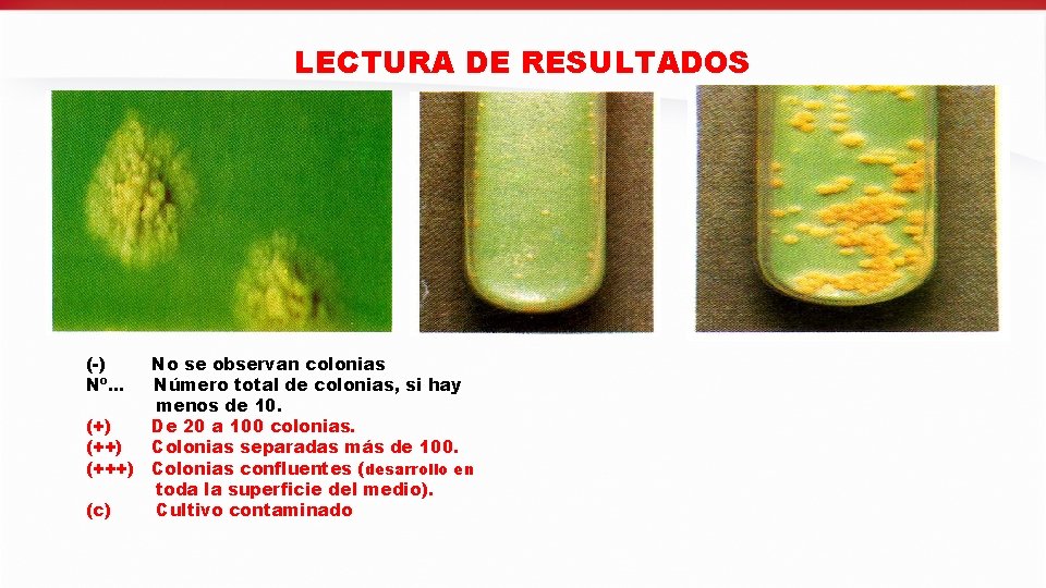LECTURA DE RESULTADOS (-) Nº. . . No se observan colonias Número total de