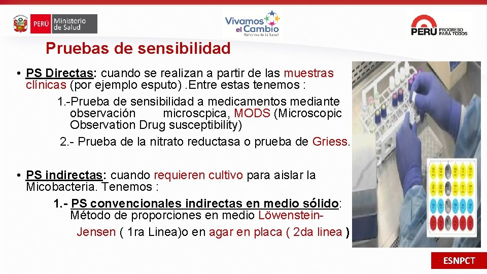 Pruebas de sensibilidad • PS Directas: cuando se realizan a partir de las muestras