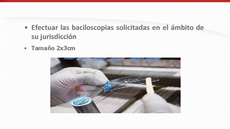  • Efectuar las baciloscopias solicitadas en el ámbito de su jurisdicción. . •