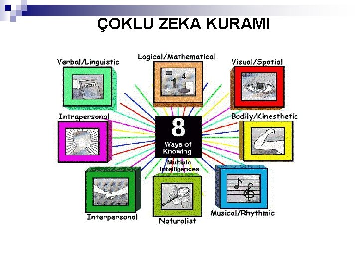  ÇOKLU ZEKA KURAMI 