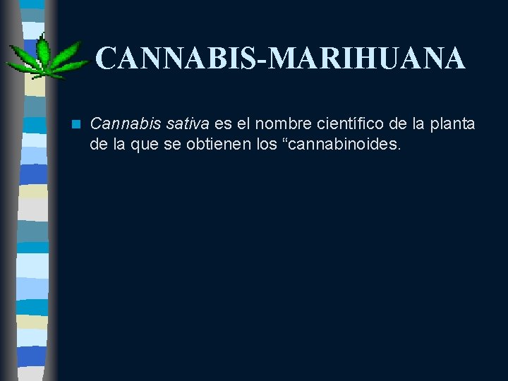 CANNABIS-MARIHUANA n Cannabis sativa es el nombre científico de la planta de la que