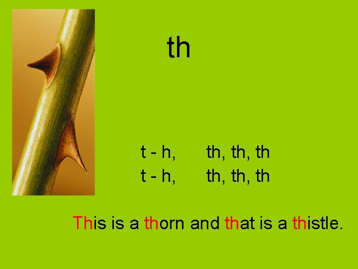 th t - h, th, th, th This is a thorn and that is