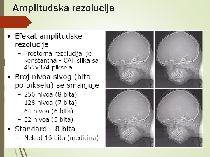 Amplitudska rezolucija 