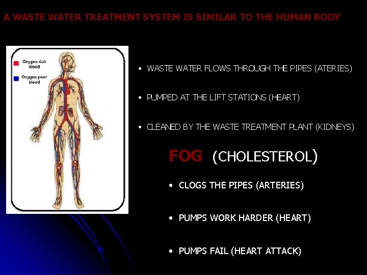 A WASTE WATER TREATMENT SYSTEM IS SIMILAR TO THE HUMAN BODY • WASTE WATER