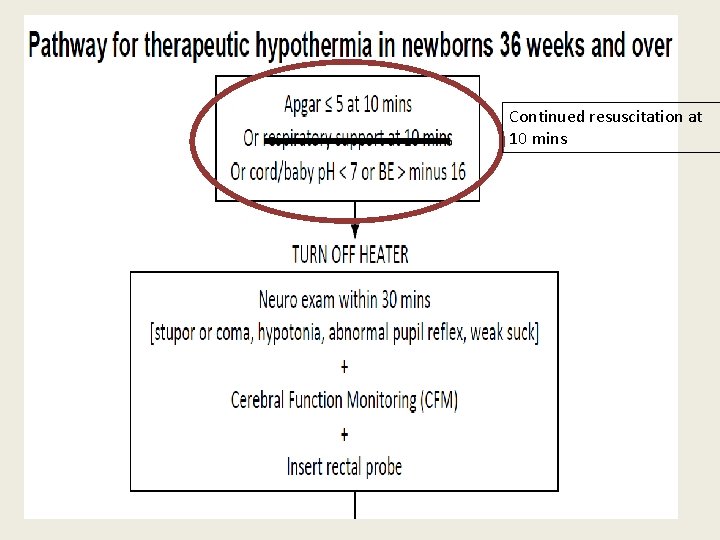 Continued resuscitation at 10 mins 