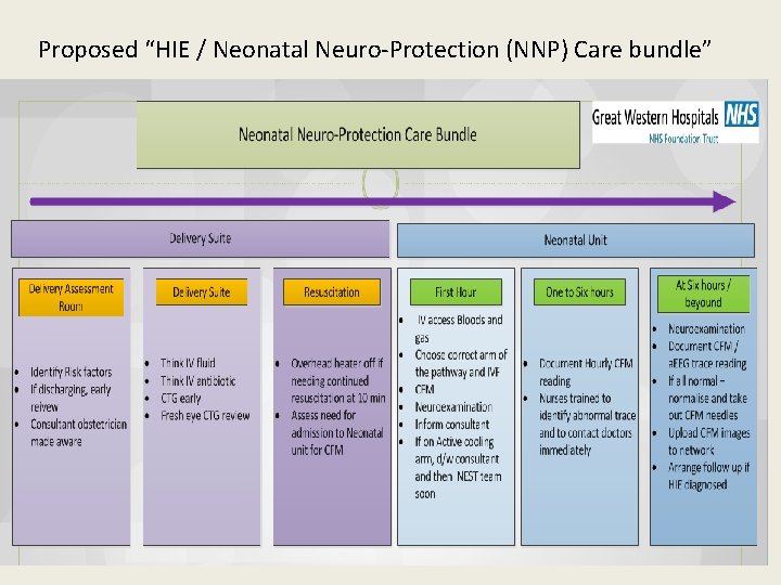 Proposed “HIE / Neonatal Neuro-Protection (NNP) Care bundle” 