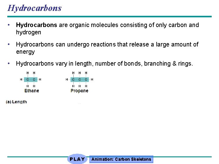 Hydrocarbons • Hydrocarbons are organic molecules consisting of only carbon and hydrogen • Hydrocarbons