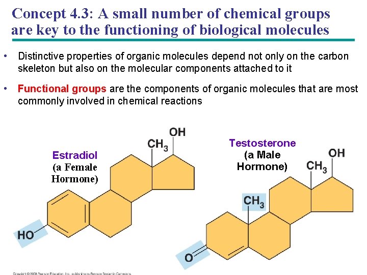 Concept 4. 3: A small number of chemical groups are key to the functioning