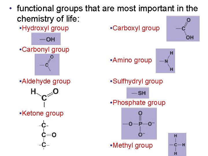  • functional groups that are most important in the chemistry of life: •