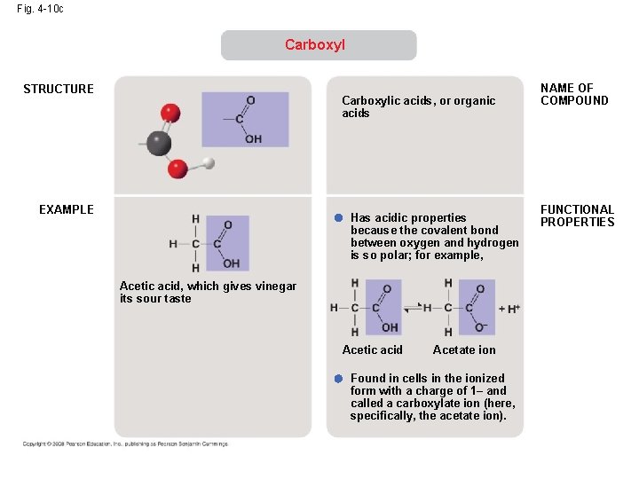 Fig. 4 -10 c Carboxyl STRUCTURE Carboxylic acids, or organic acids EXAMPLE Has acidic