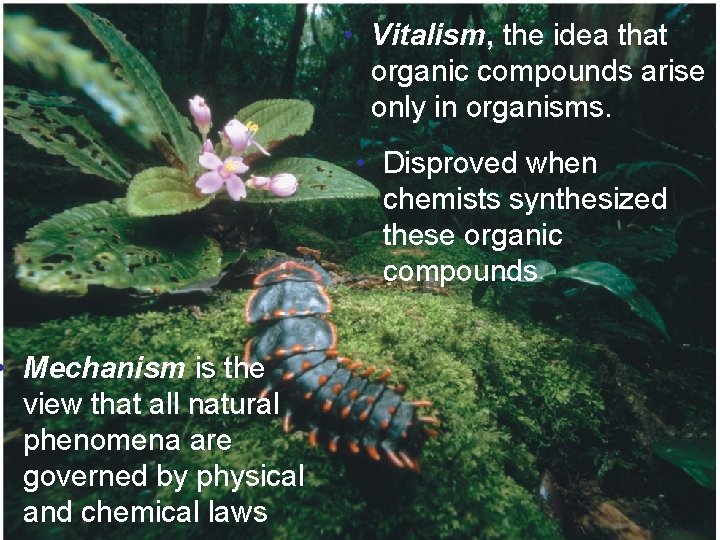 Fig. 4 -1 • Mechanism is the view that all natural phenomena are governed