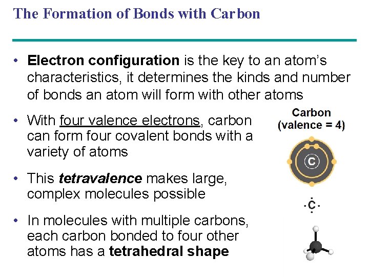The Formation of Bonds with Carbon • Electron configuration is the key to an