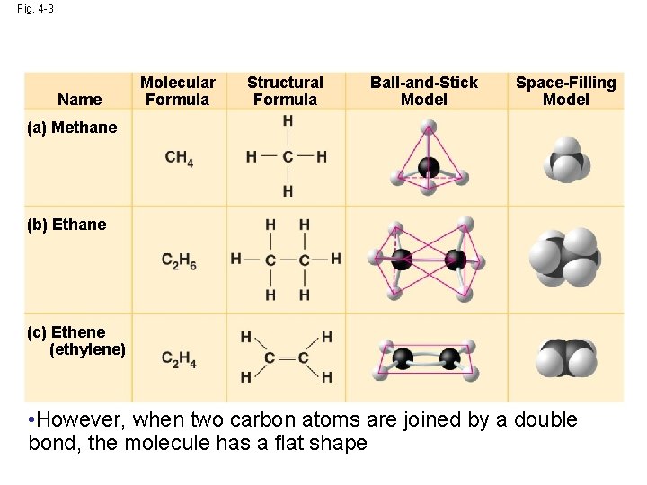 Fig. 4 -3 Name Molecular Formula Structural Formula Ball-and-Stick Model Space-Filling Model (a) Methane