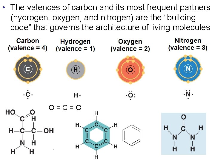  • The valences of carbon and its most frequent partners (hydrogen, oxygen, and