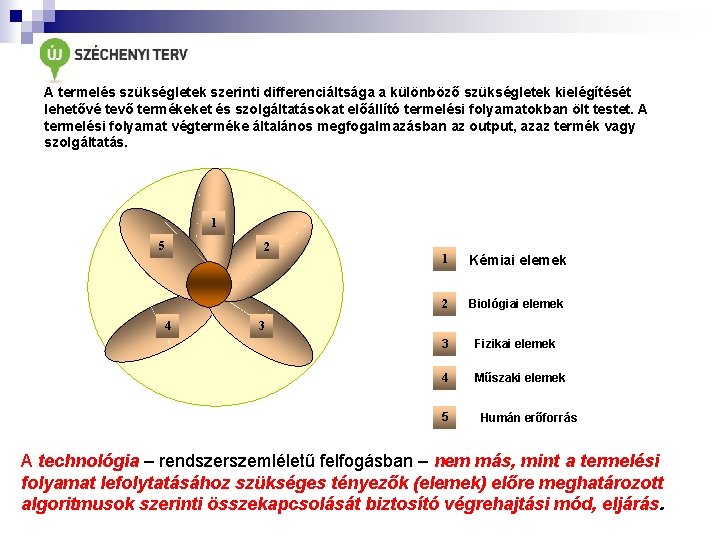 A termelés szükségletek szerinti differenciáltsága a különböző szükségletek kielégítését lehetővé tevő termékeket és szolgáltatásokat