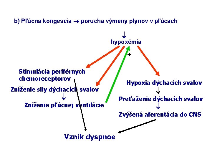 b) Pľúcna kongescia porucha výmeny plynov v pľúcach hypoxémia Stimulácia periférnych chemoreceptorov Zníženie sily