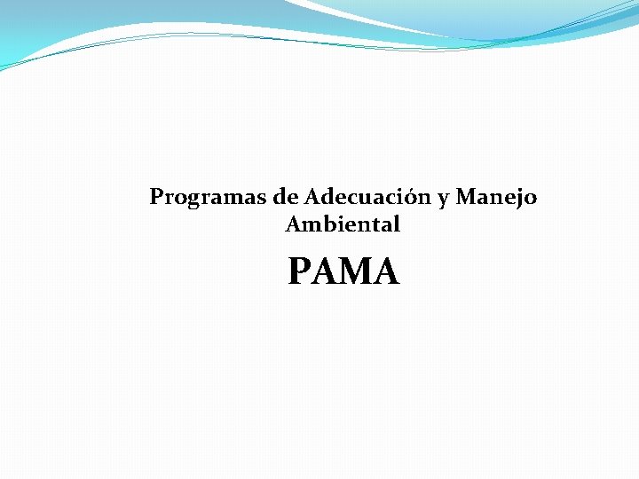 Programas de Adecuación y Manejo Ambiental PAMA 
