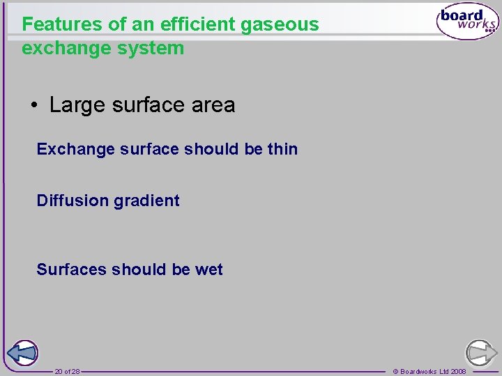 Features of an efficient gaseous exchange system • Large surface area Exchange surface should