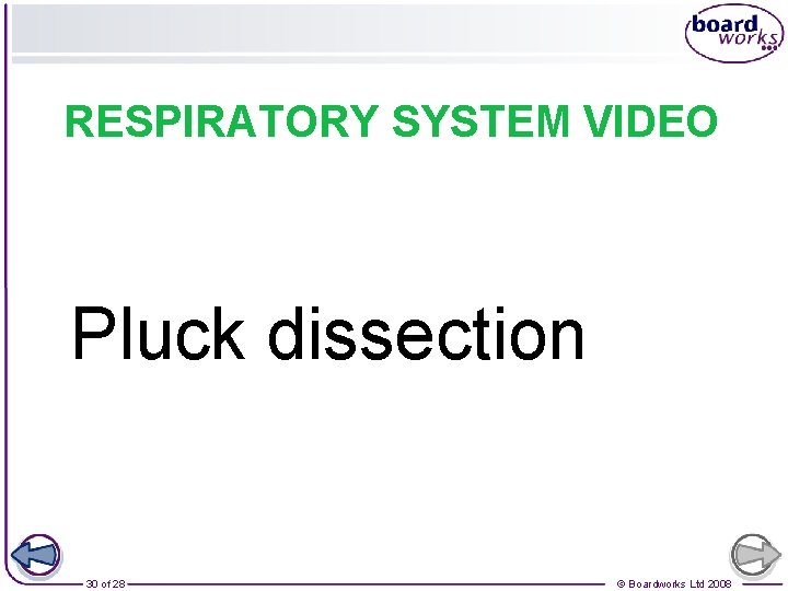 RESPIRATORY SYSTEM VIDEO Pluck dissection 30 of 28 © Boardworks Ltd 2008 