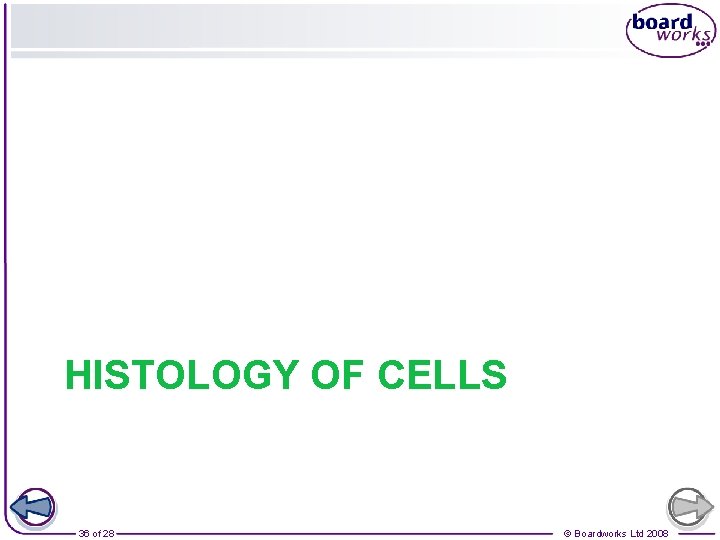 HISTOLOGY OF CELLS 36 of 28 © Boardworks Ltd 2008 