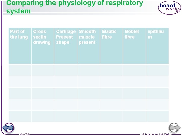 Comparing the physiology of respiratory system Part of the lung 43 of 28 Cross
