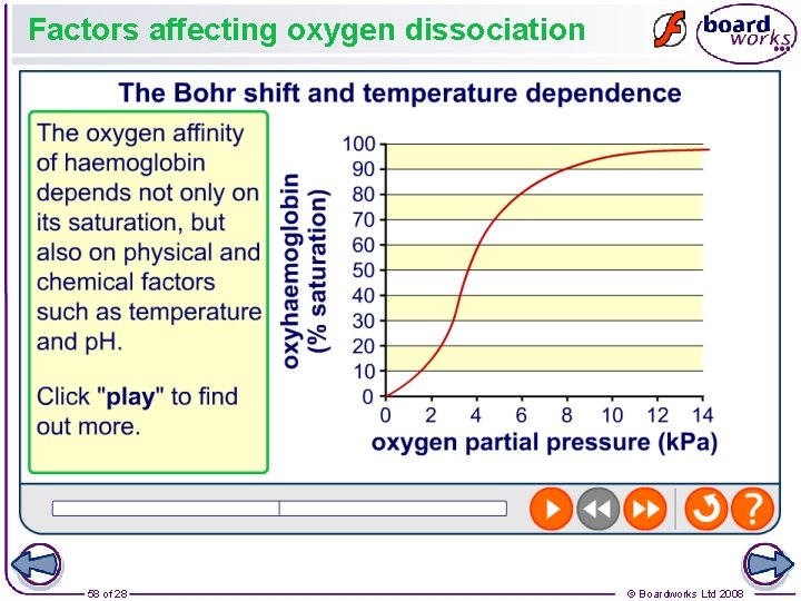 Factors affecting oxygen dissociation 58 of 28 © Boardworks Ltd 2008 