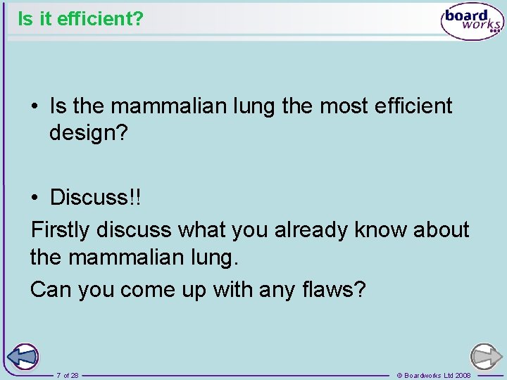 Is it efficient? • Is the mammalian lung the most efficient design? • Discuss!!