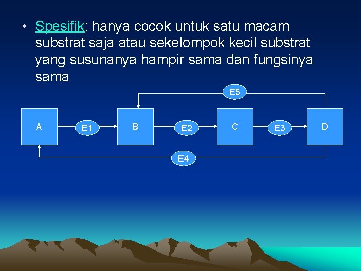  • Spesifik: hanya cocok untuk satu macam substrat saja atau sekelompok kecil substrat