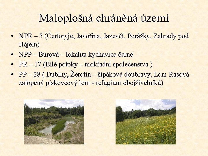 Maloplošná chráněná území • NPR – 5 (Čertoryje, Javořina, Jazevčí, Porážky, Zahrady pod Hájem)