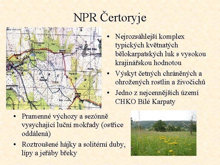 NPR Čertoryje • Nejrozsáhlejší komplex typických květnatých bělokarpatských luk s vysokou krajinářskou hodnotou •