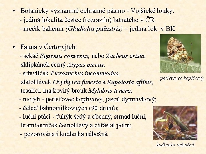  • Botanicky významné ochranné pásmo - Vojšické louky: - jediná lokalita čestce (rozrazilu)