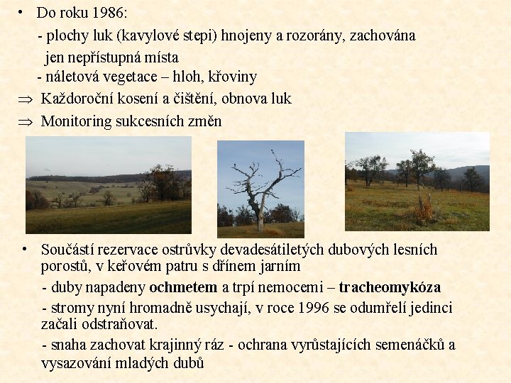  • Do roku 1986: - plochy luk (kavylové stepi) hnojeny a rozorány, zachována