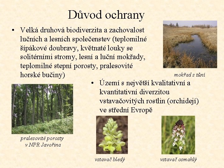 Důvod ochrany • Velká druhová biodiverzita a zachovalost lučních a lesních společenstev (teplomilné šípákové