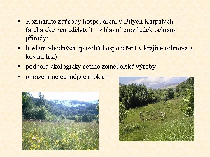  • Rozmanité způsoby hospodaření v Bílých Karpatech (archaické zemědělství) => hlavní prostředek ochrany
