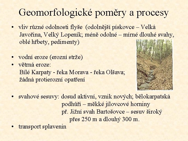 Geomorfologické poměry a procesy • vliv různé odolnosti flyše (odolnější pískovce – Velká Javořina,