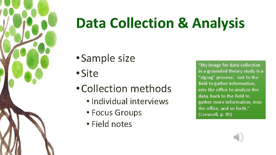 Data Collection & Analysis • Sample size • Site • Collection methods • Individual