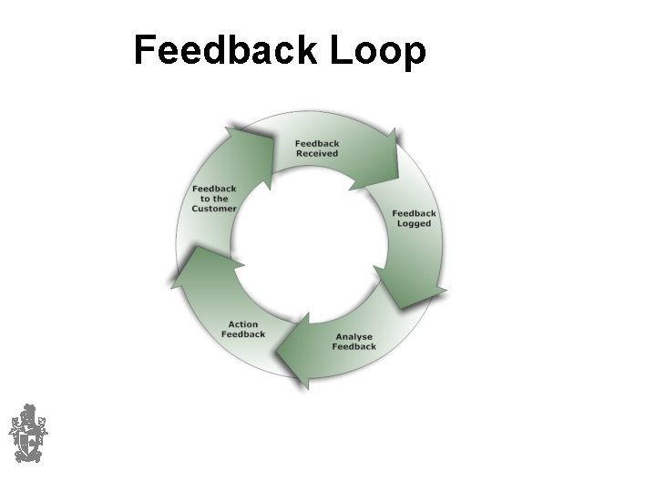Feedback Loop 