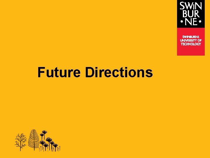 Future Directions 