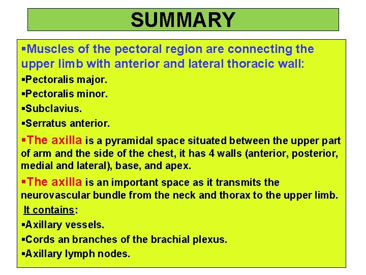 SUMMARY §Muscles of the pectoral region are connecting the upper limb with anterior and