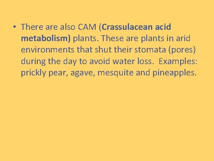  • There also CAM (Crassulacean acid metabolism) plants. These are plants in arid