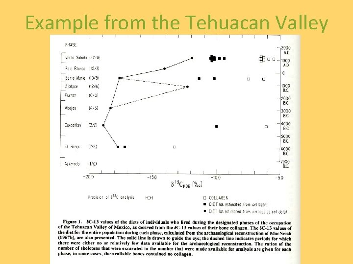 Example from the Tehuacan Valley 