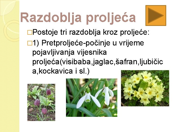 Razdoblja proljeća �Postoje tri razdoblja kroz proljeće: � 1) Pretproljeće-počinje u vrijeme pojavljivanja vijesnika