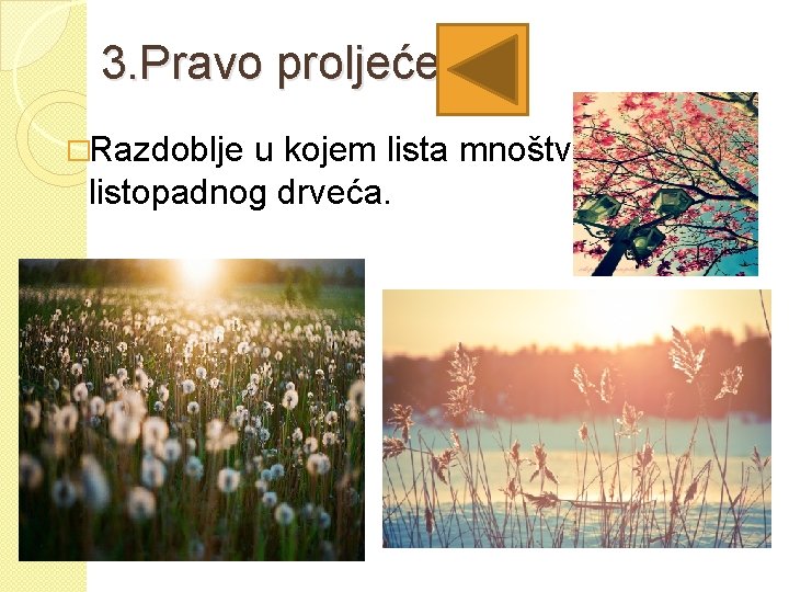 3. Pravo proljeće �Razdoblje u kojem lista mnoštvo listopadnog drveća. 